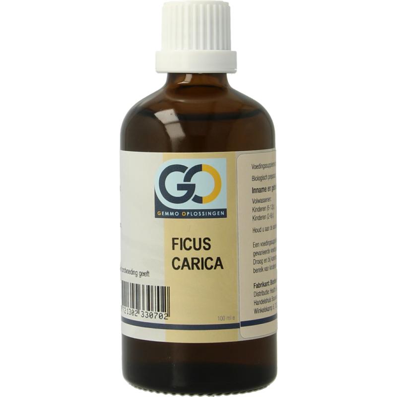 Ficus carica bio