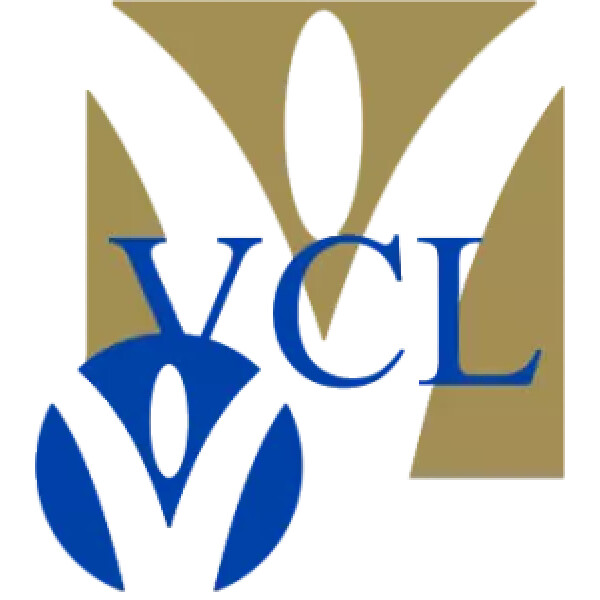 Visolie forte logo