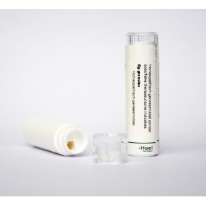 Zincum valerianicum MK Homeoden Heel 6g
