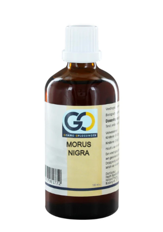GO Morus Nigra flesje