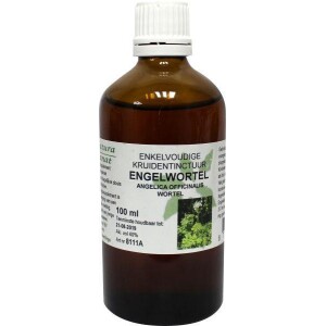 Angelica officinalis/engelwortel tinctuur bio Cruydhof 100ml