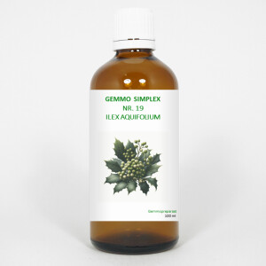 gemmo-simplex-19ilex-aquifolium