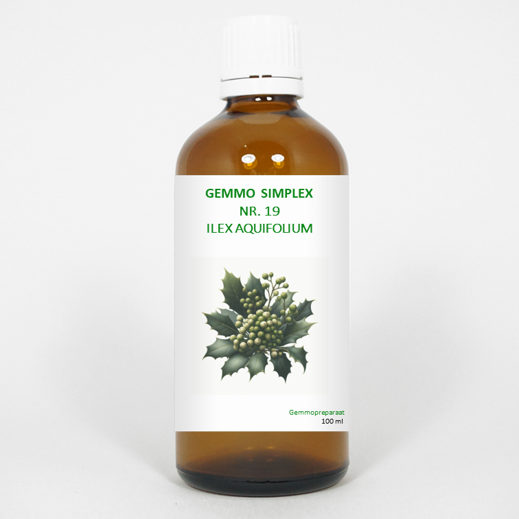 gemmo-simplex-19ilex-aquifolium