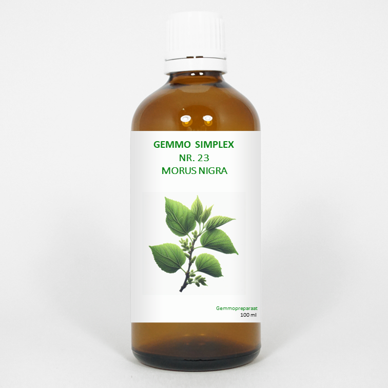 Balancepharma Gemmo simplex 23 morus nigra
